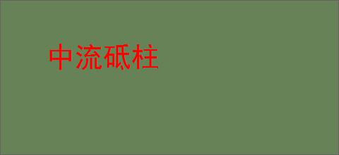 中流砥柱