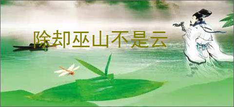 除却巫山不是云
