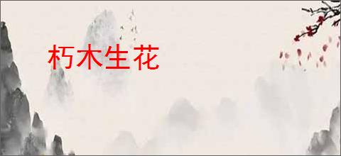 朽木生花