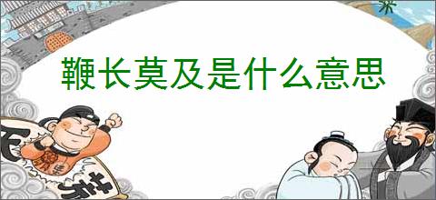 鞭长莫及是什么意思